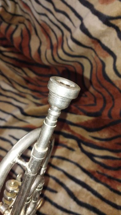 Духовая труба горн