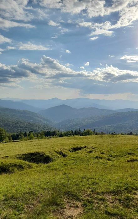 Котедж у Карпатах з чаном.