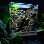 Terrarium 30x30x40, gekon, drzewołazy, ptasznik