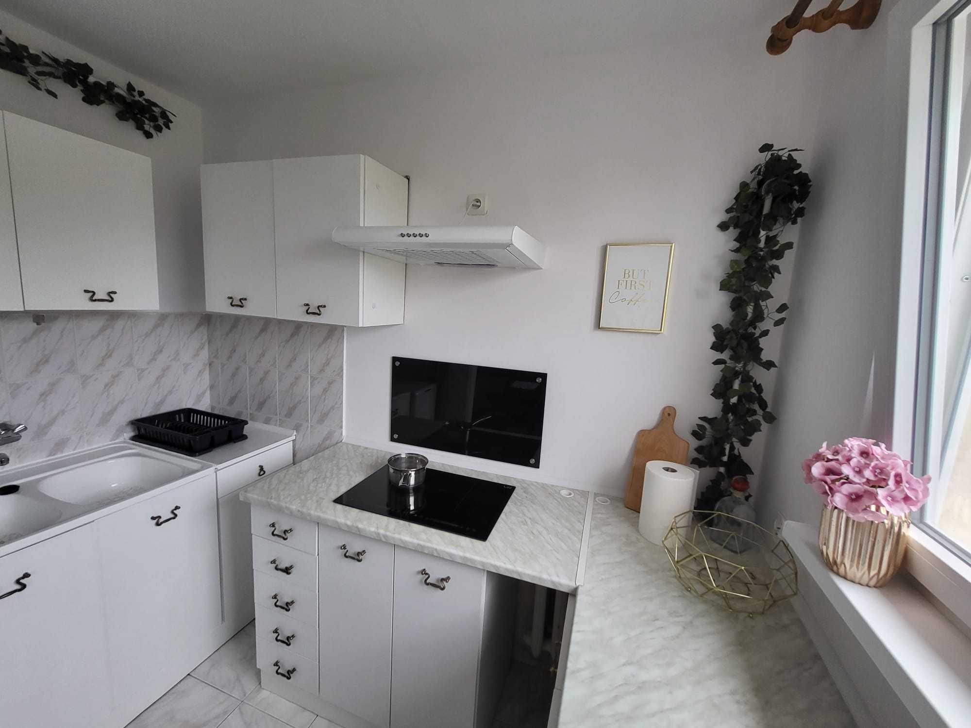 Mieszkanie 1 pok./kawalerka centrum - 1 bedroom flat in city center