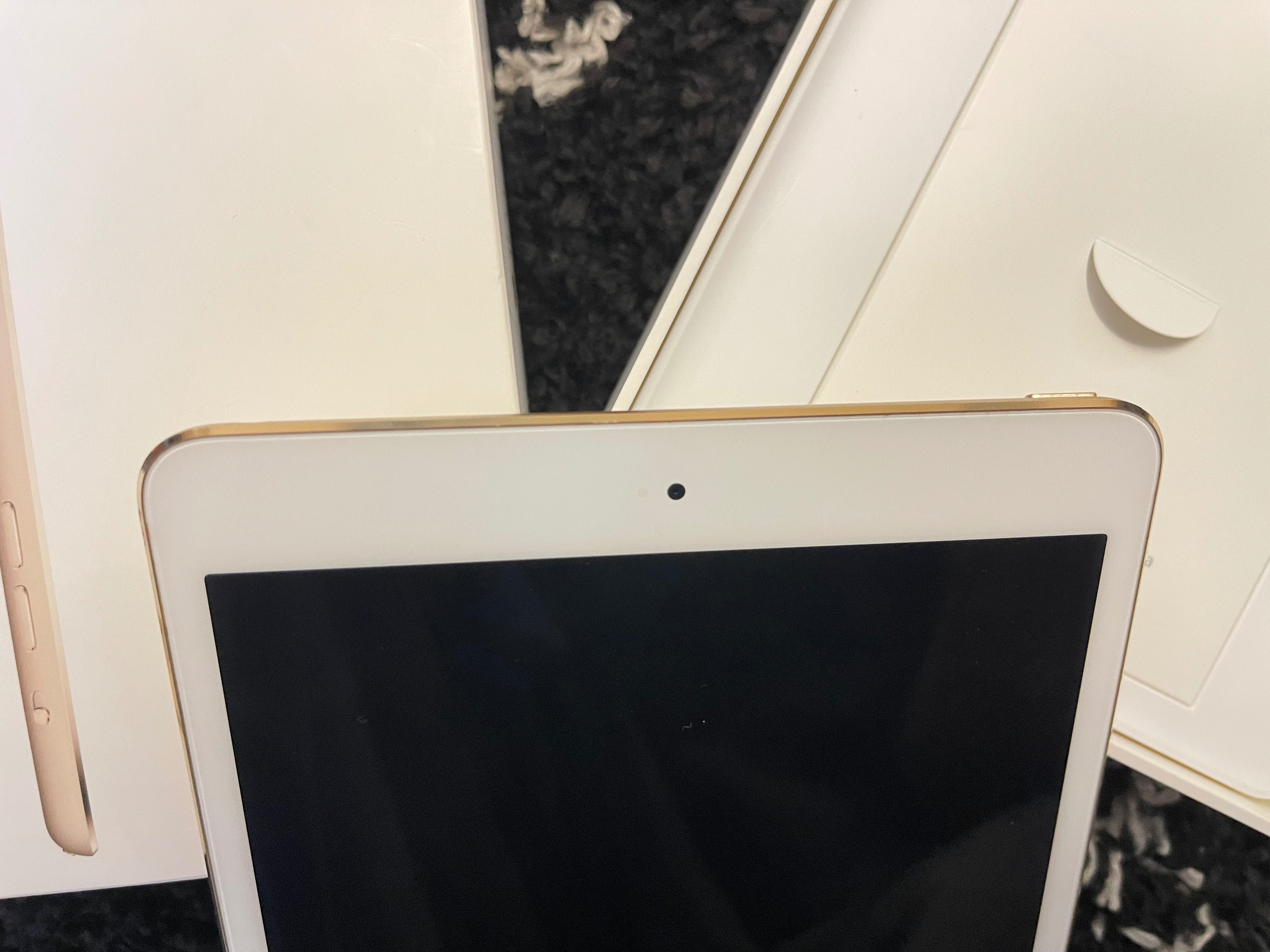 Apple   IPAD  Mini