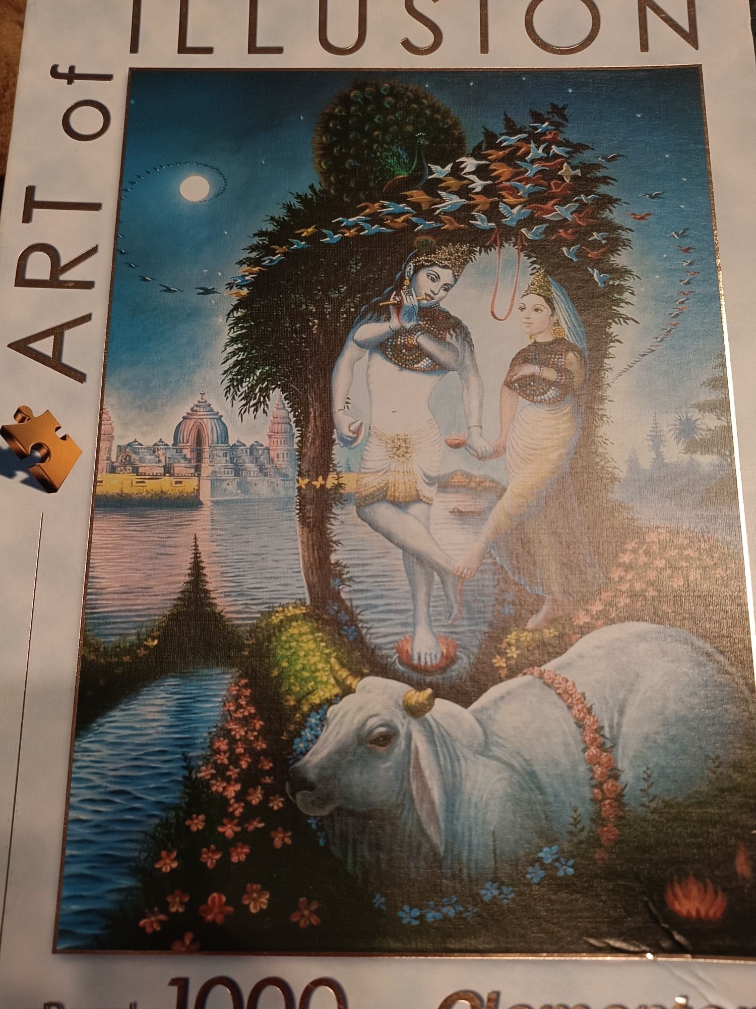 Puzzle 1000 art of illusion