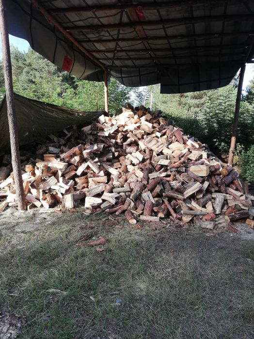 Drewno drzewo opałowe kominkowe do pieca transport w cenie