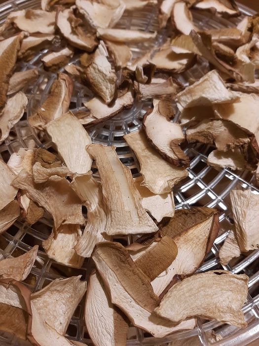 Grzyby suszone prawdziwki