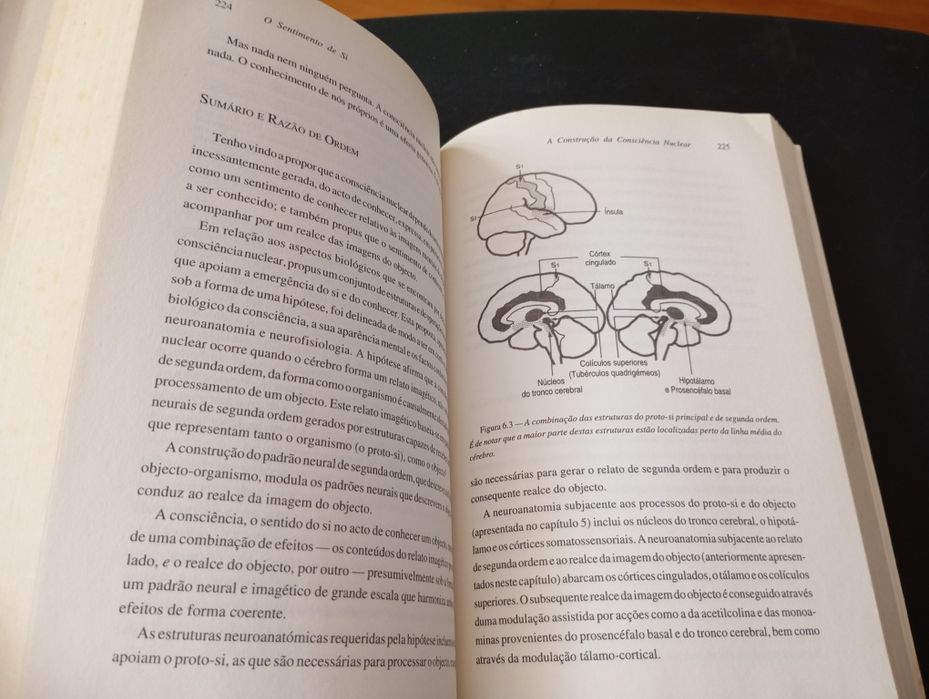 Livro " O sentimento de si"