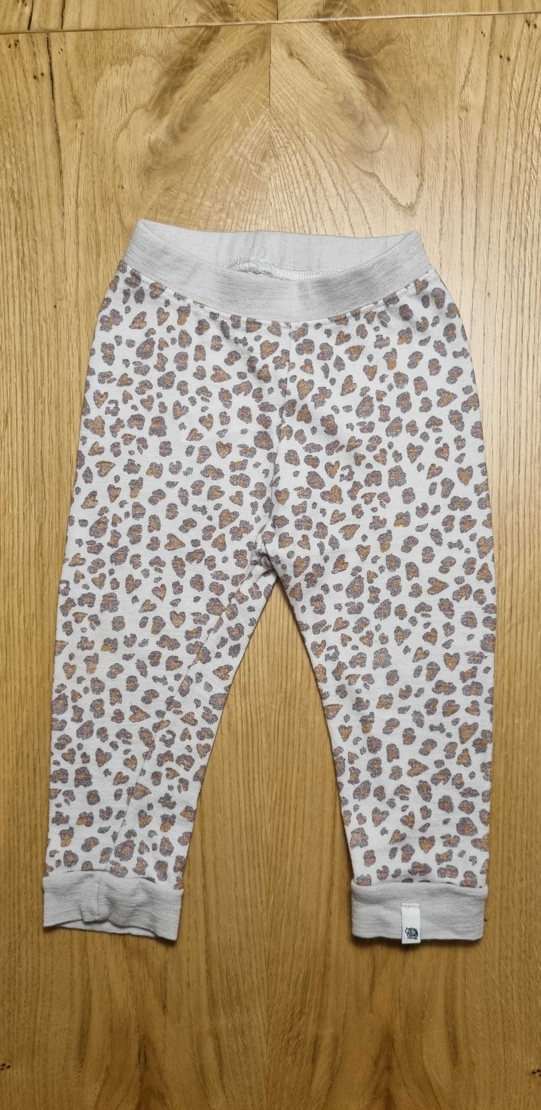 Spodnie legginsy wełniane Cubus 74 do 80 panterka jak Reflex Reima