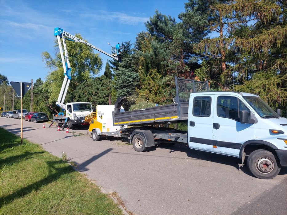 Przycinanie drzew wycinka usługi rębak frezowanie korzeni