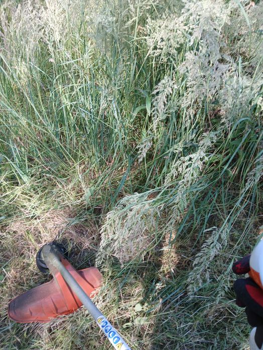 Koszenie traw, Wycinka drzew i krzewów, Sprzątanie podwórka