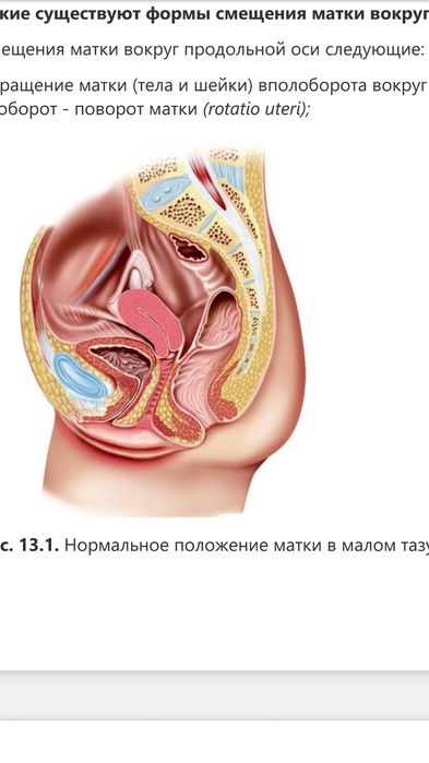Массаж живота, внутренних органов (висцеральный, остеопатический)