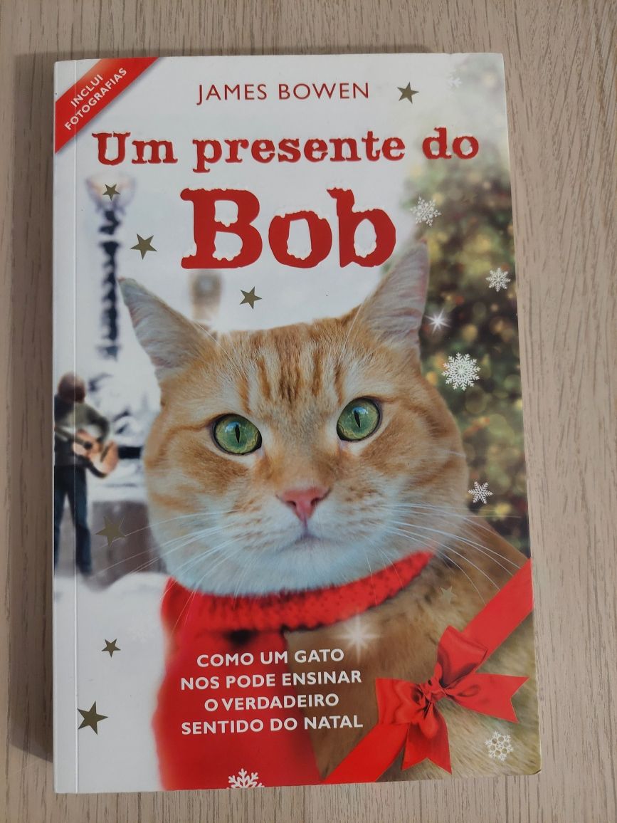 Livros Gato BOB - história real