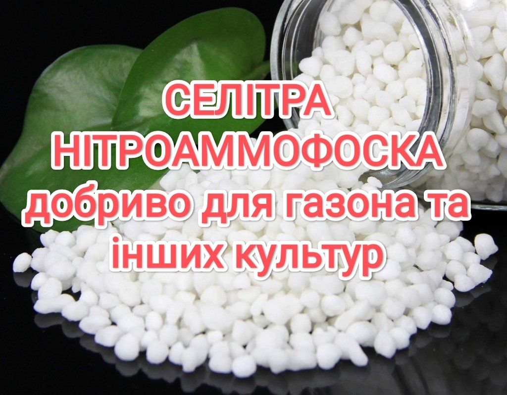 Нітроамофоска 16/16/16 Європа. Селітра OSTCHEM. 10-50кг. Козин.