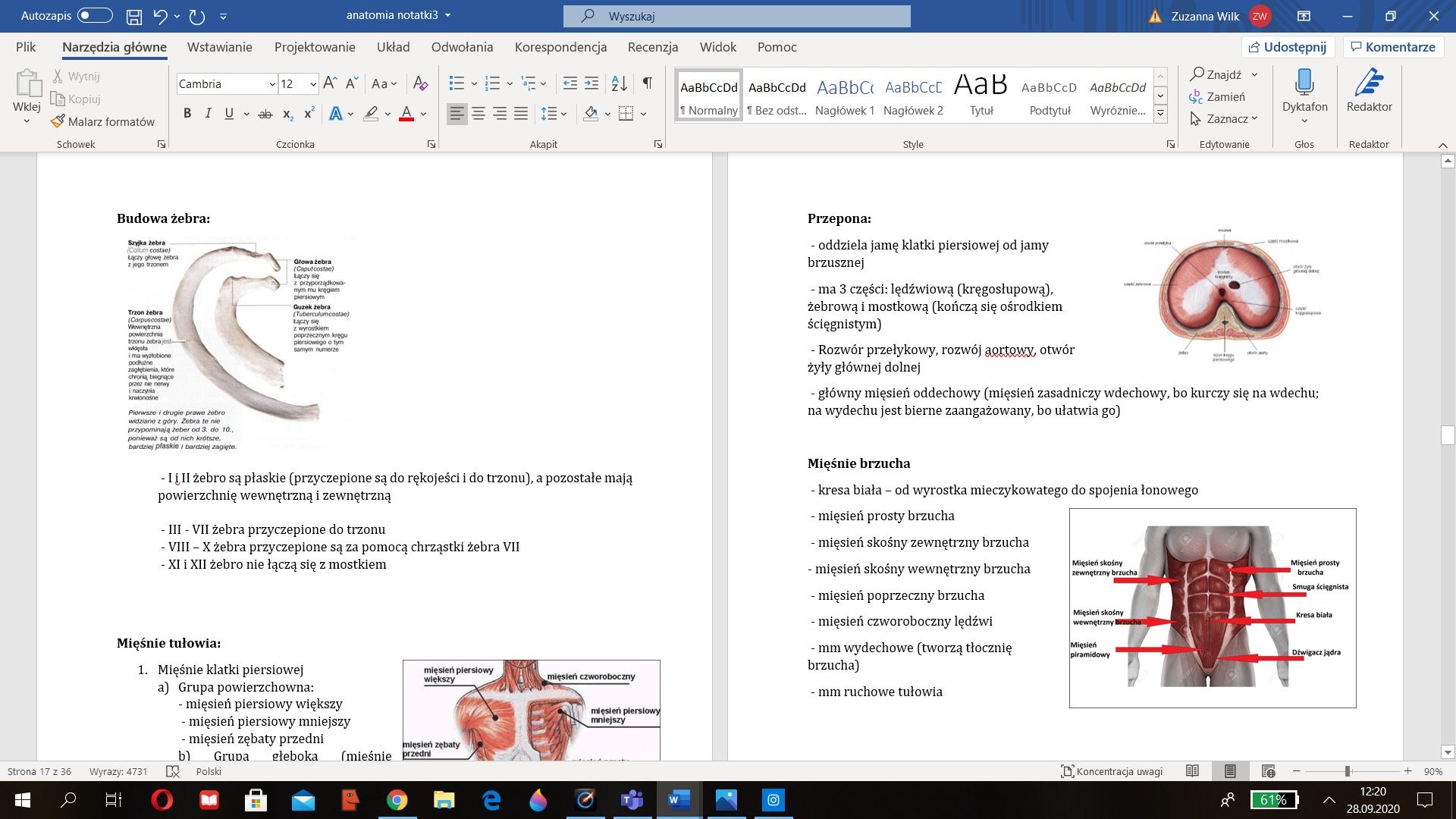 Notatki anatomia logopedia