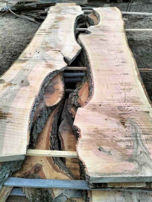 Tarcica dąb jesion wiąz olcha