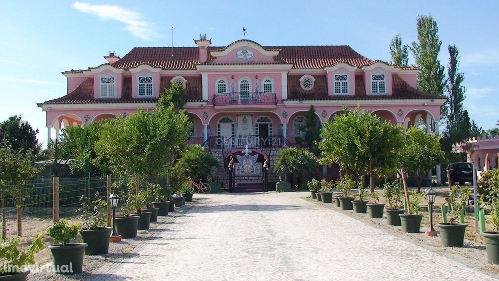 Quinta de 102 ha em Palmela com moradia, piscina, vinha, pinhal, pomar