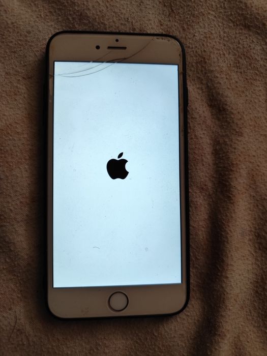 iPhone 6 a funcionar porém precisa de trocar bateria