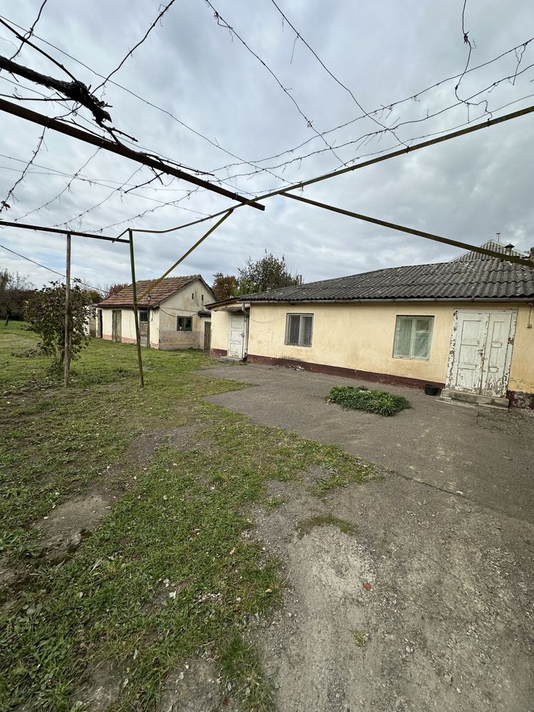 Будинок з великою ділянкою