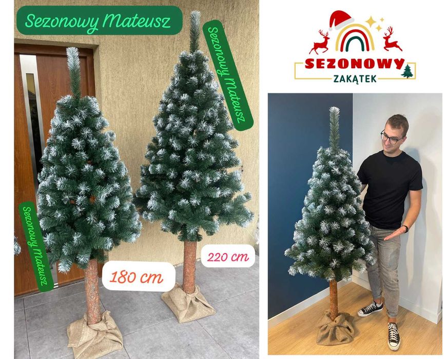 Sosna Diamentowa na Pniu Choinka Sztuczna 180 cm od Producenta 220 cm