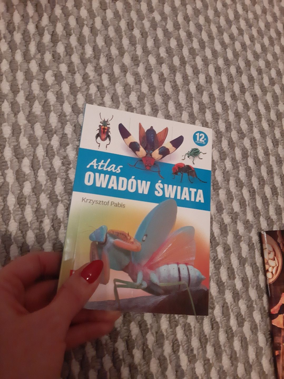 Atlas owadów.  Mini