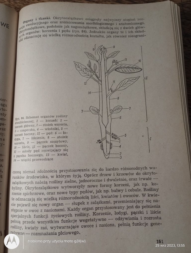 Botanika. S. Tołpa, J. Radomski