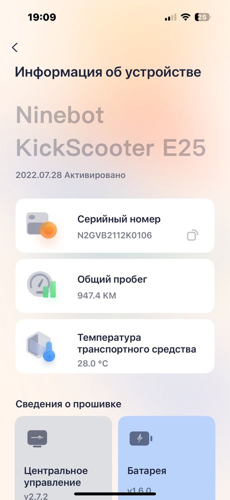 Самокат Ninebot by Segway E22