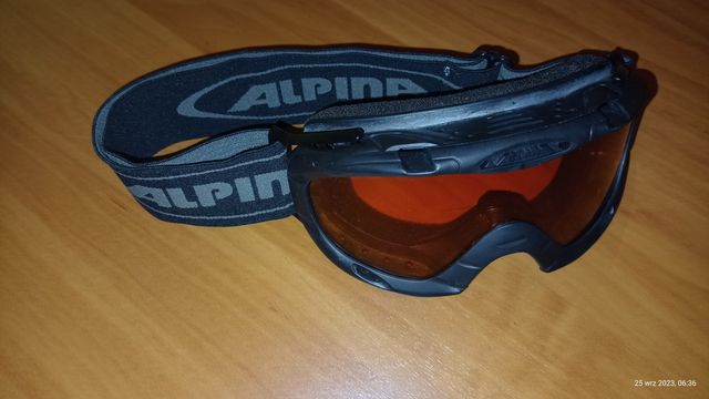 Okulary narciarskie dla dzieci Alpina