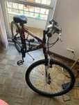 bicicleta berg.