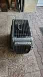 Transporter AniOne S