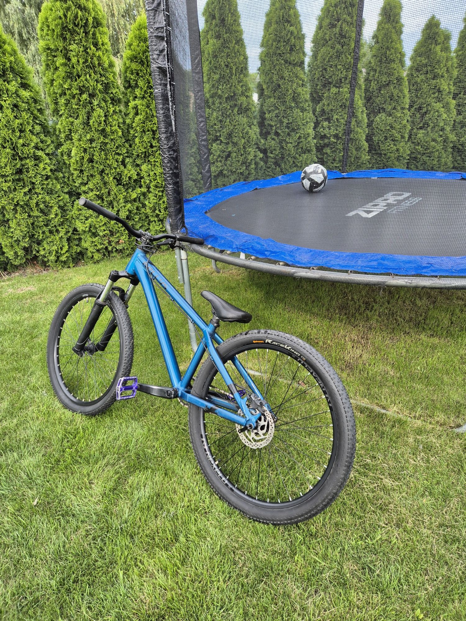 Rower Dirt Kellys whip 50 (custom)