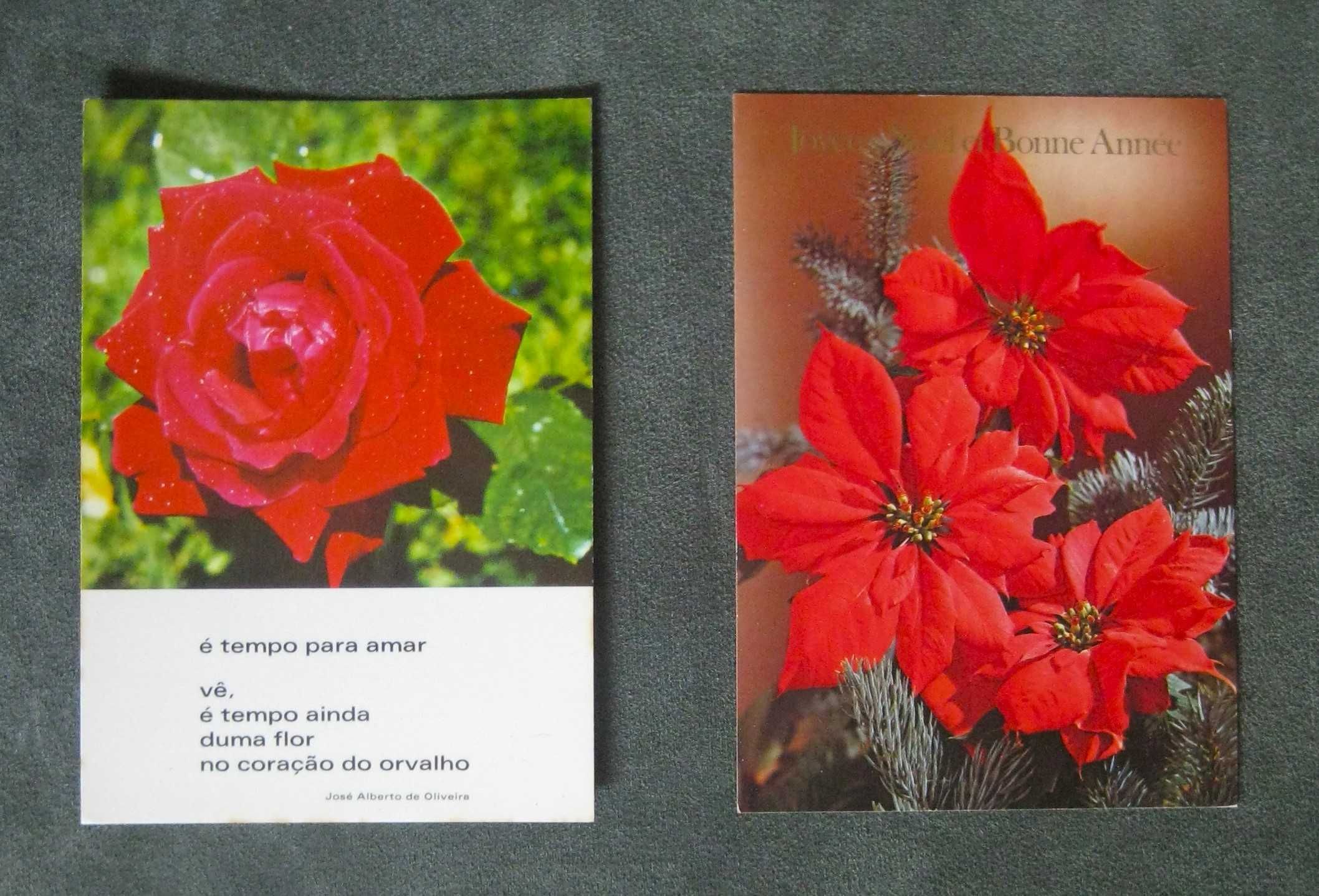 Conjunto de 7 Bilhetes Postais Rosas e Mais Flores