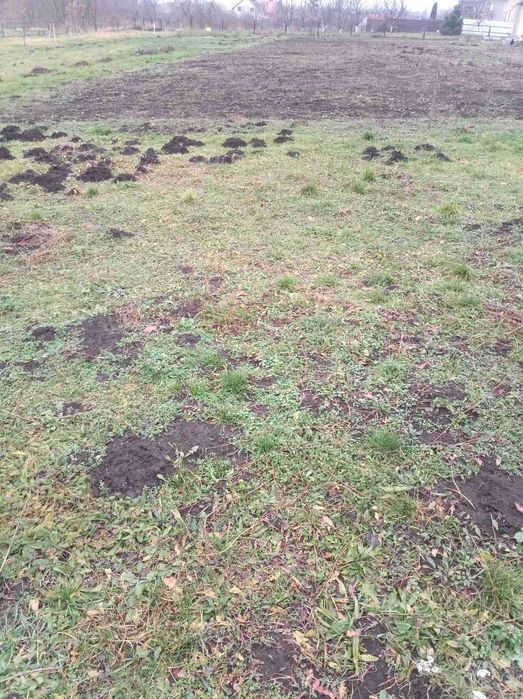 Продам земельну ділянку 20 соток.в Селі Забороль початок села.