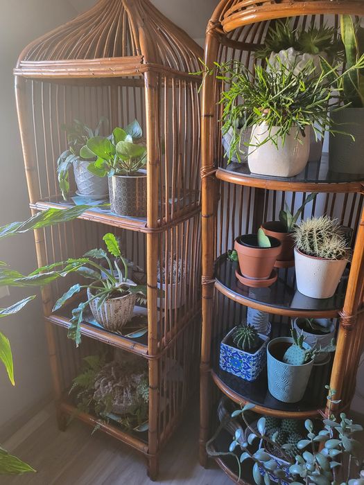 Klosze duże rattan