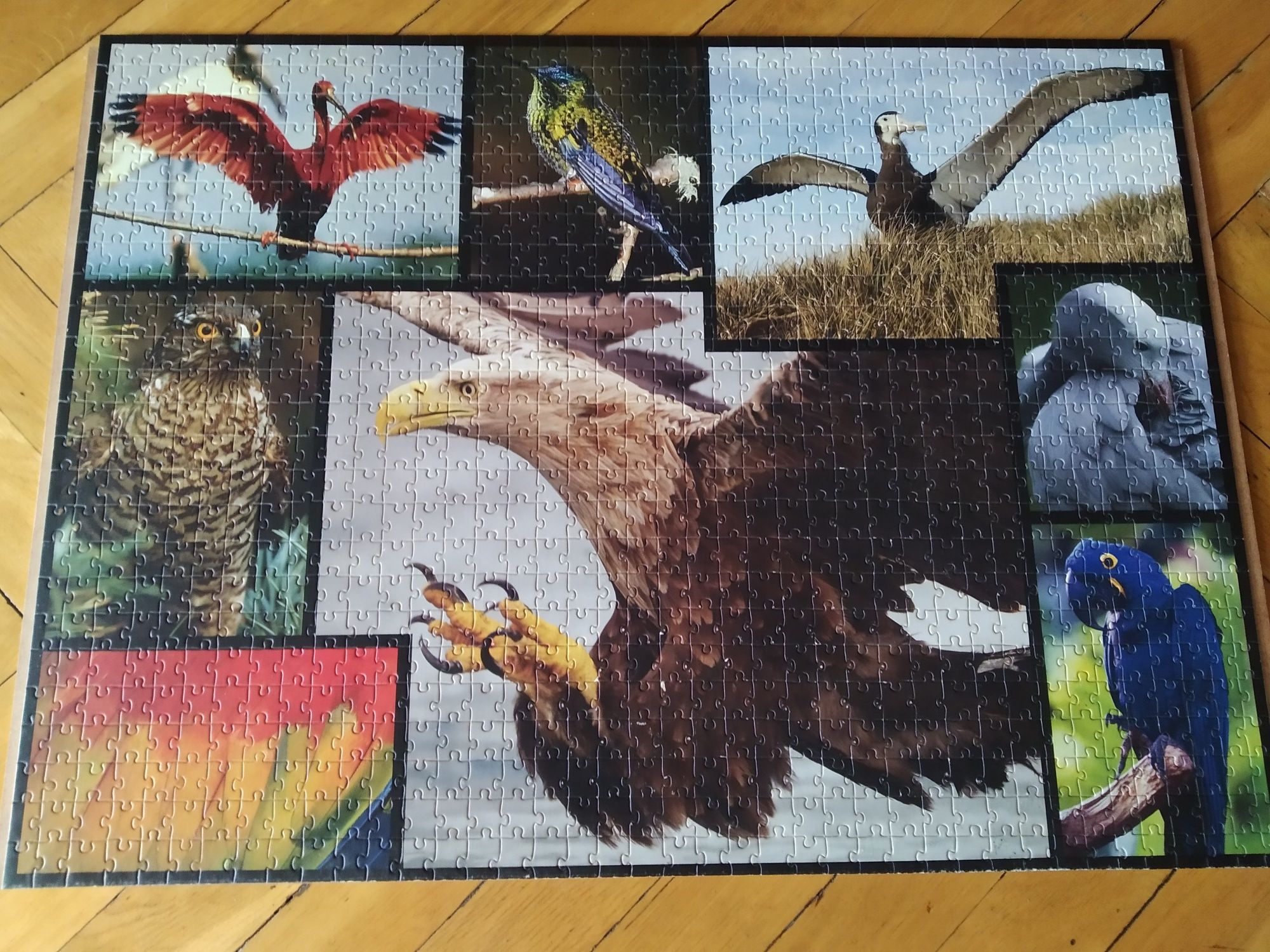 Puzzle 1000 elementów