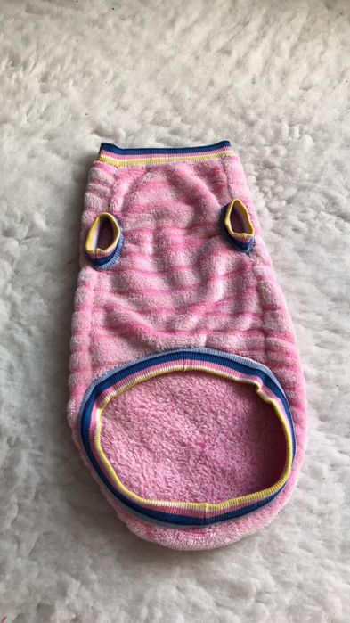 Одежда для котов и собак