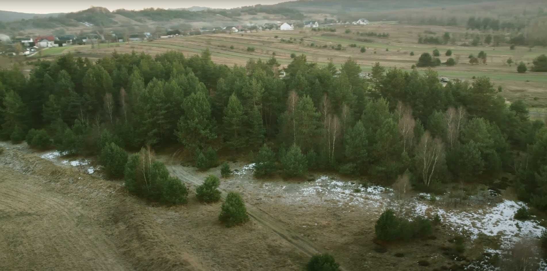 Piękna, zalesiona działka budowlana w Zdowie