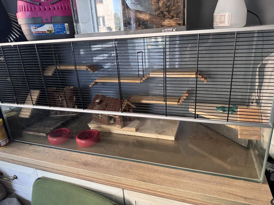 Terarium akwarium polecam!!