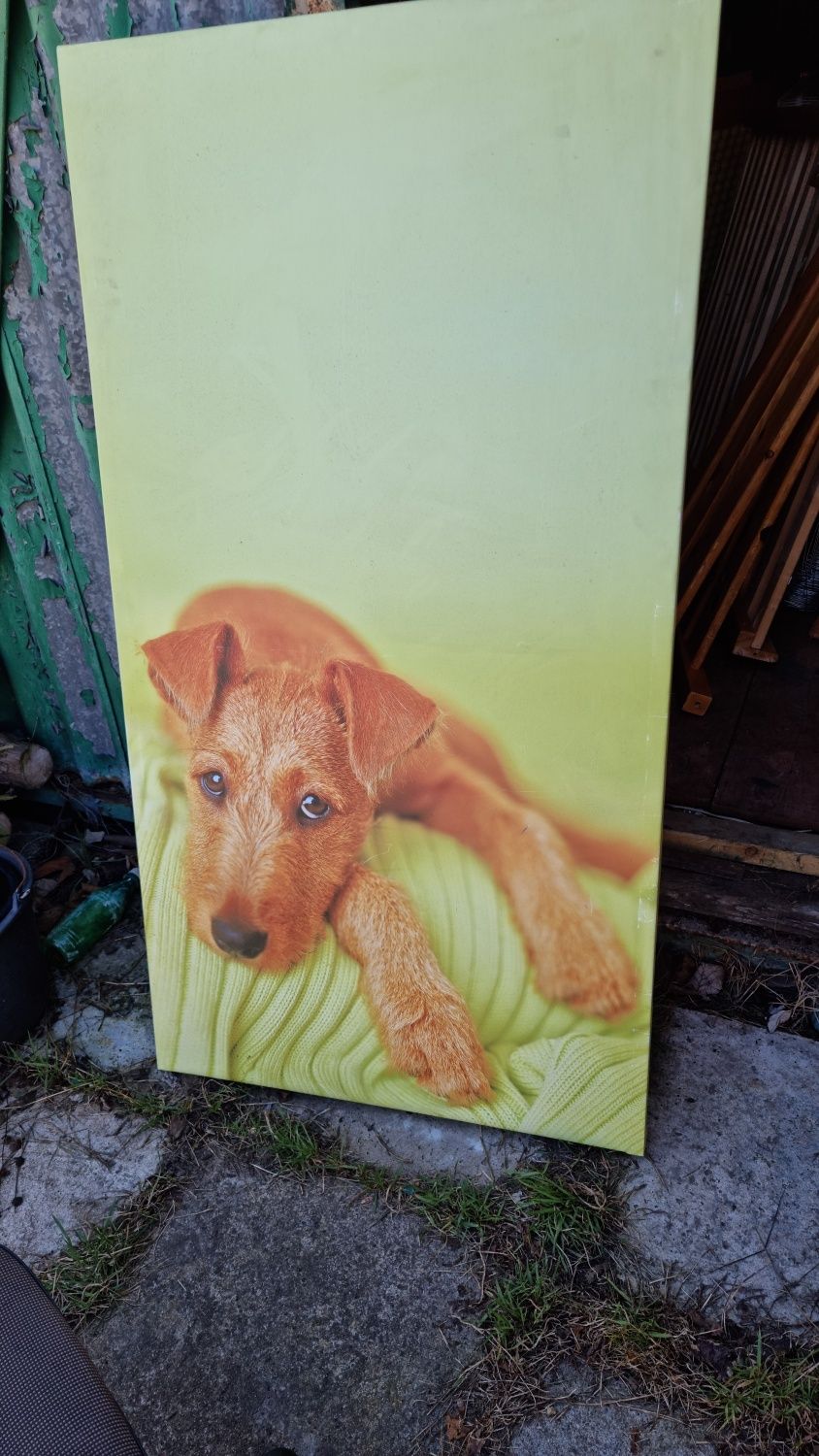 Obraz płótno Canwas piesek 130x70
