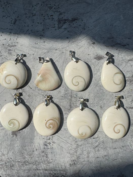 Muszla Oko Śiwa  / św.Łucja