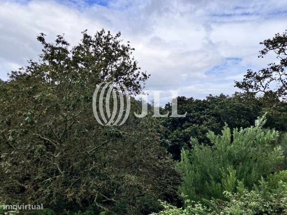 Terreno rústico na zona do Vale Paraíso, Madeira