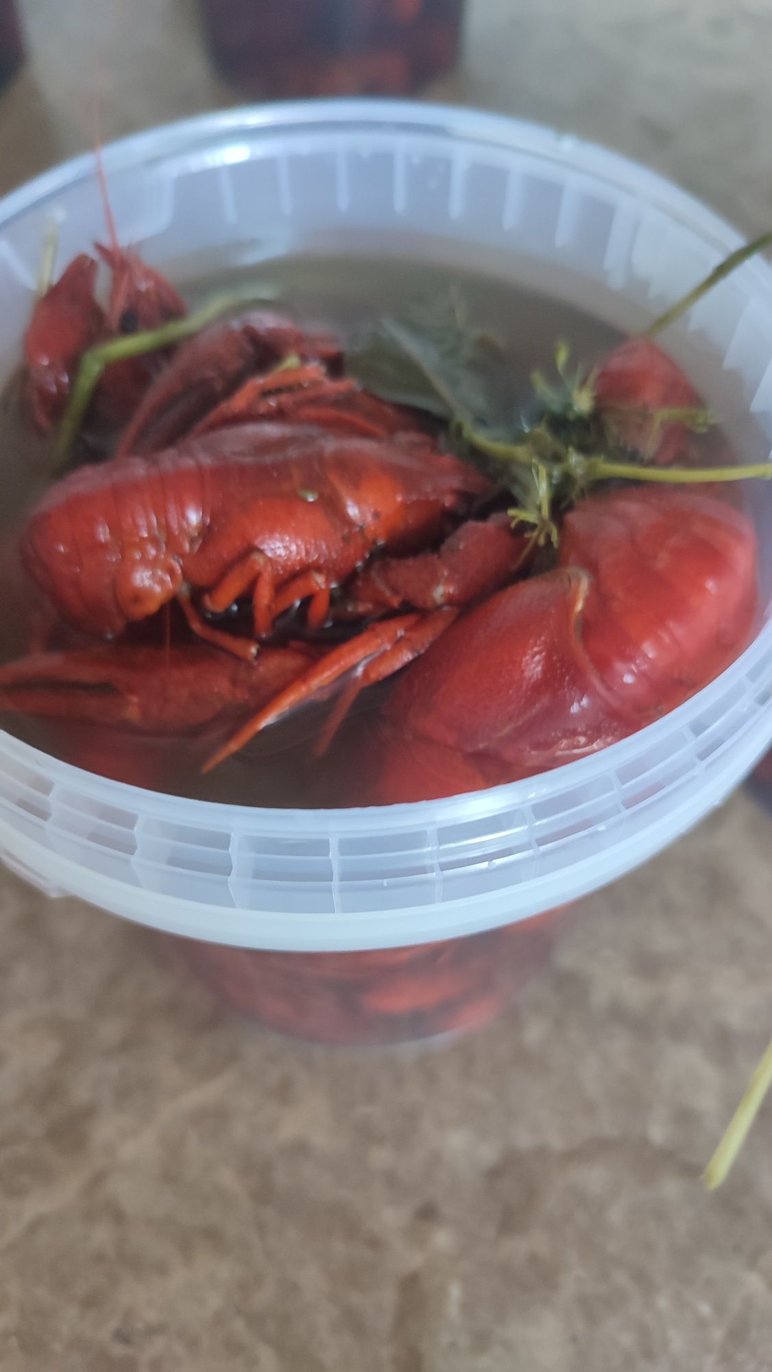 Раки Вареные Идеальный вкус