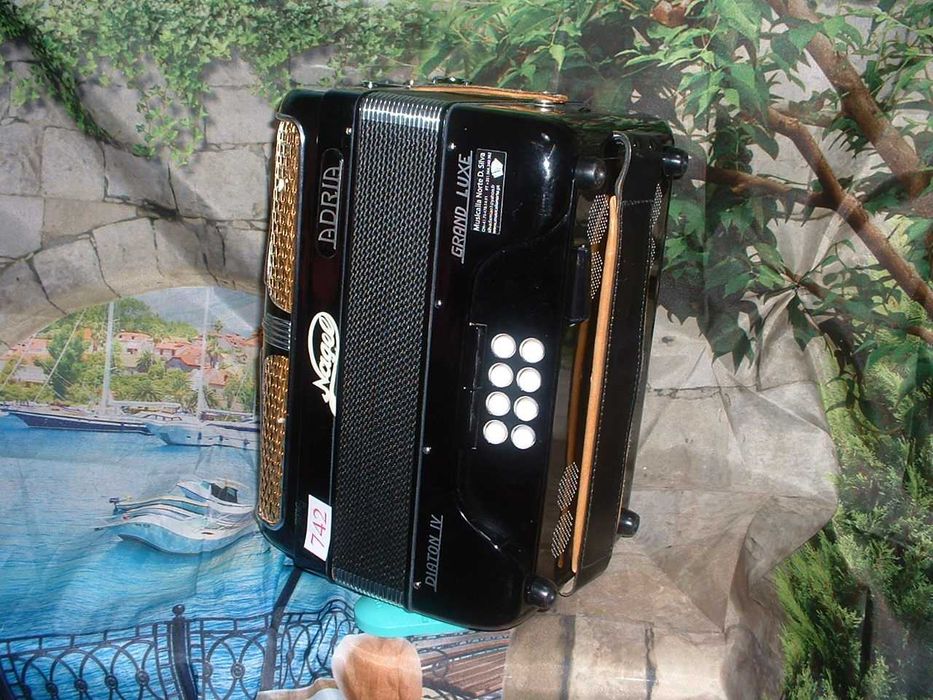 Concertina a venda n.742