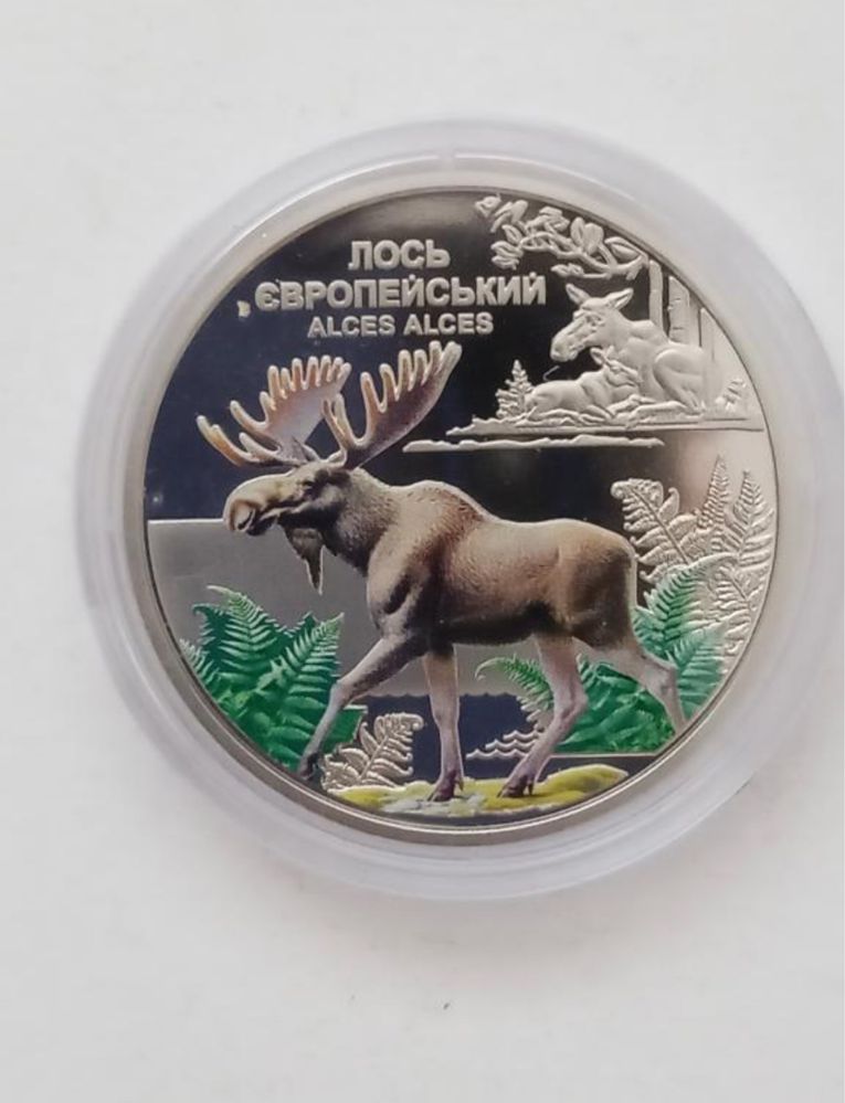 Монета 5 гривень "Лось Європейський - Чорнобиль Відродженя" 2025 рік