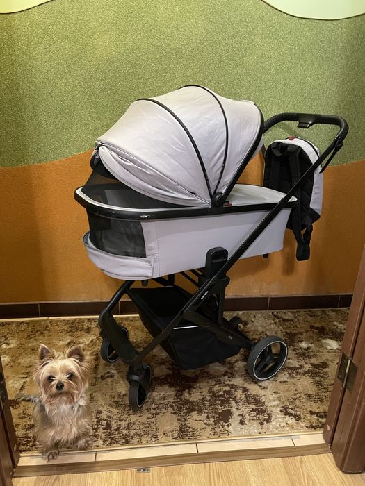 Коляска Карелло Альфа 2 в 1