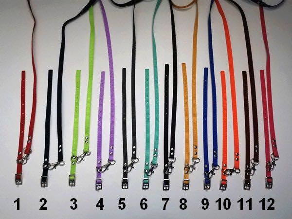 york obroża i smycz dla szczeniaka, zestaw 5 szt. kolory wyprawka