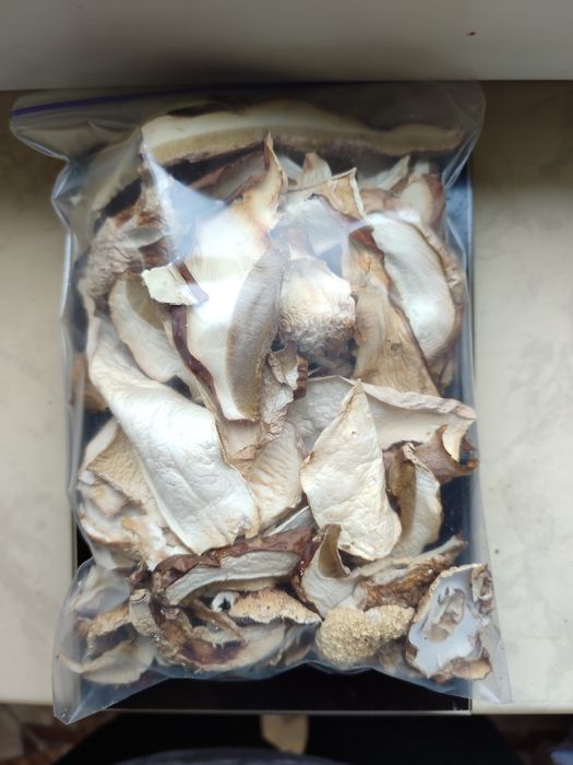 Мариновані гриби Білі Сухі гриби Грибний порошок