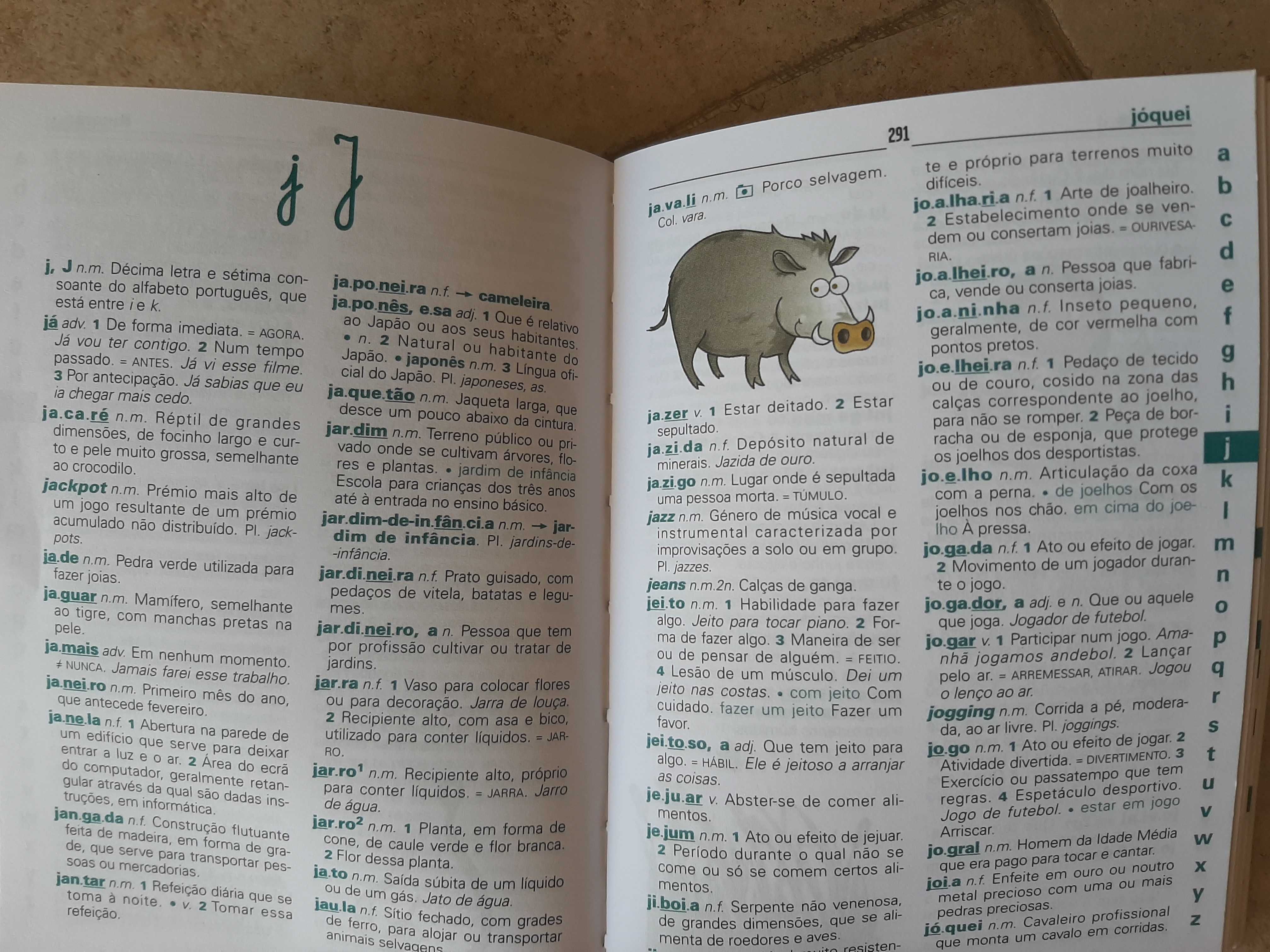 Primeiro Dicionário Escolar - 1º Ciclo