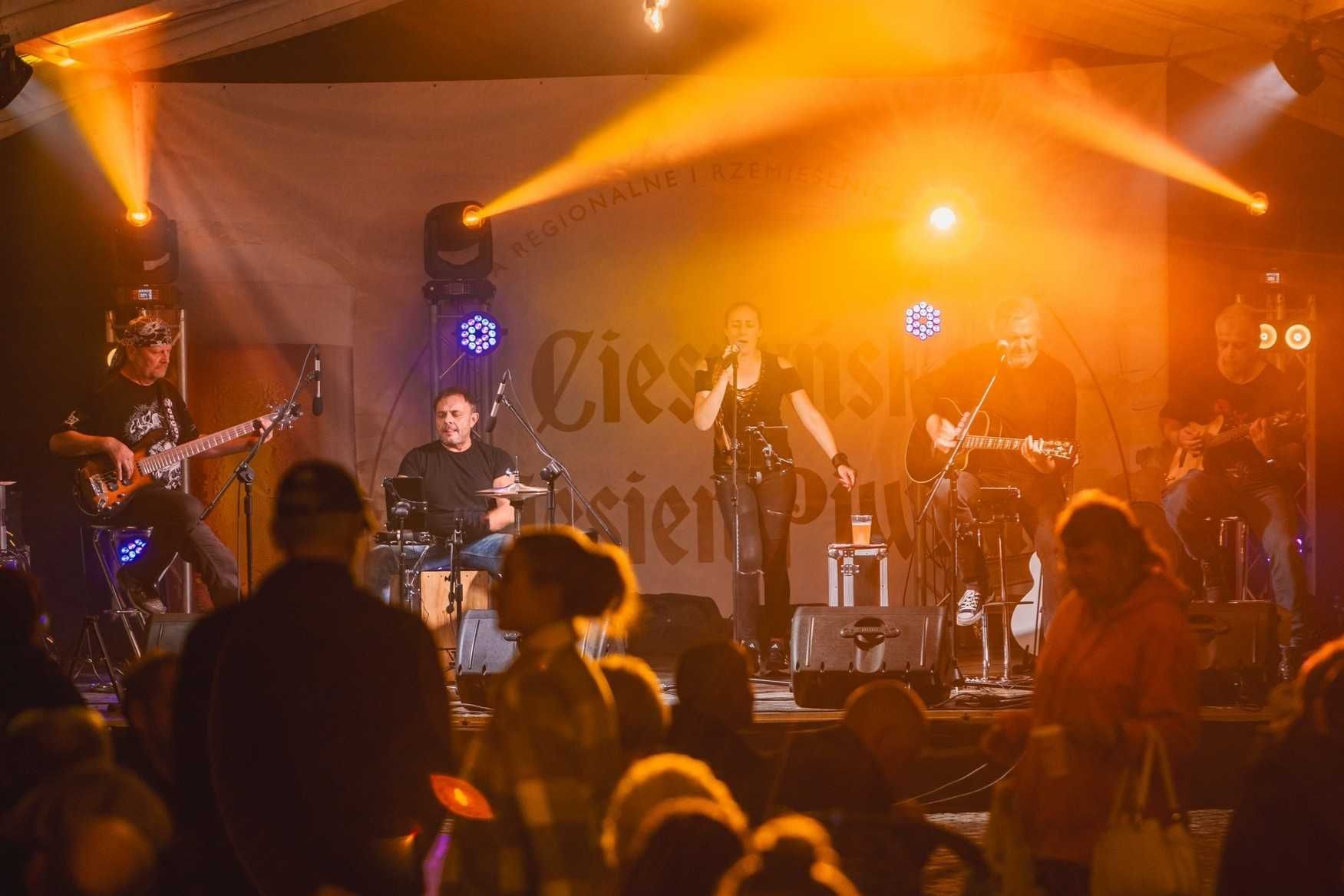 Technika Estradowa, Nagłośnienie, Oświetlenie, Ekran, Scena, Agregat
