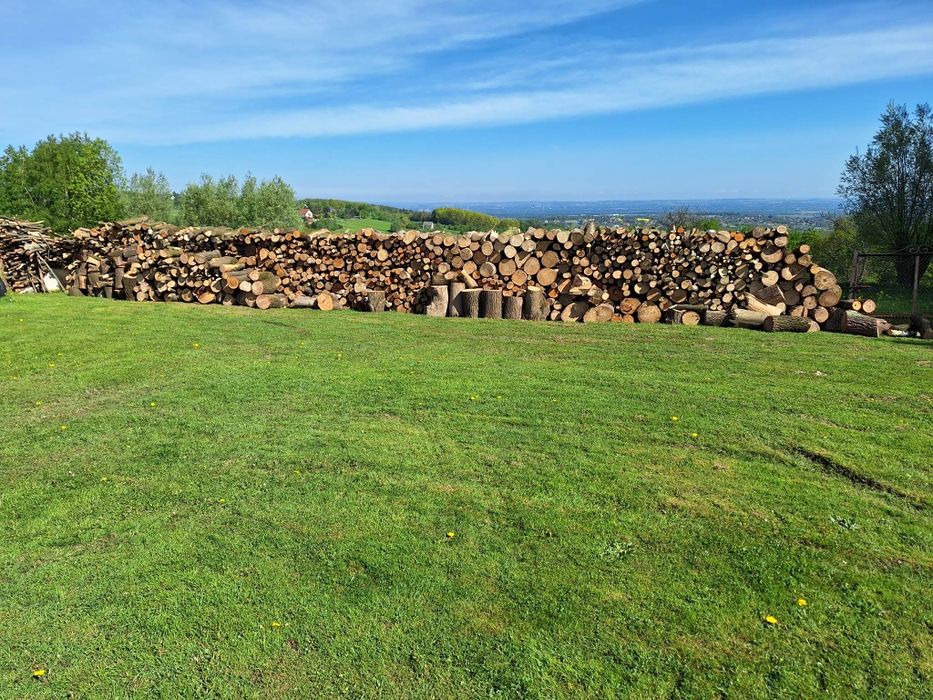 Wycinka drzew ,karczowanie nieużytków,koszenie trawy .