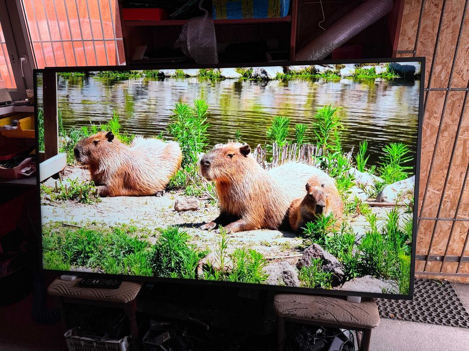 Telewizor TV Smart Philips 75PUS7805 Led 4K HDR DVBT2 75 Cal Ambilight