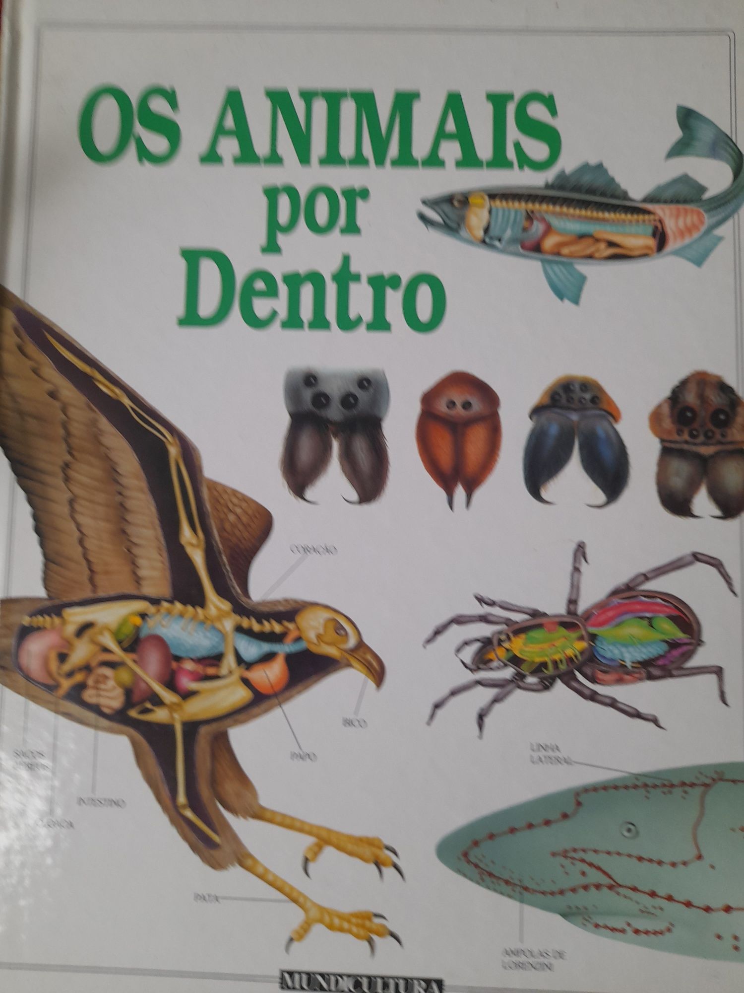 Os Animais por dentro