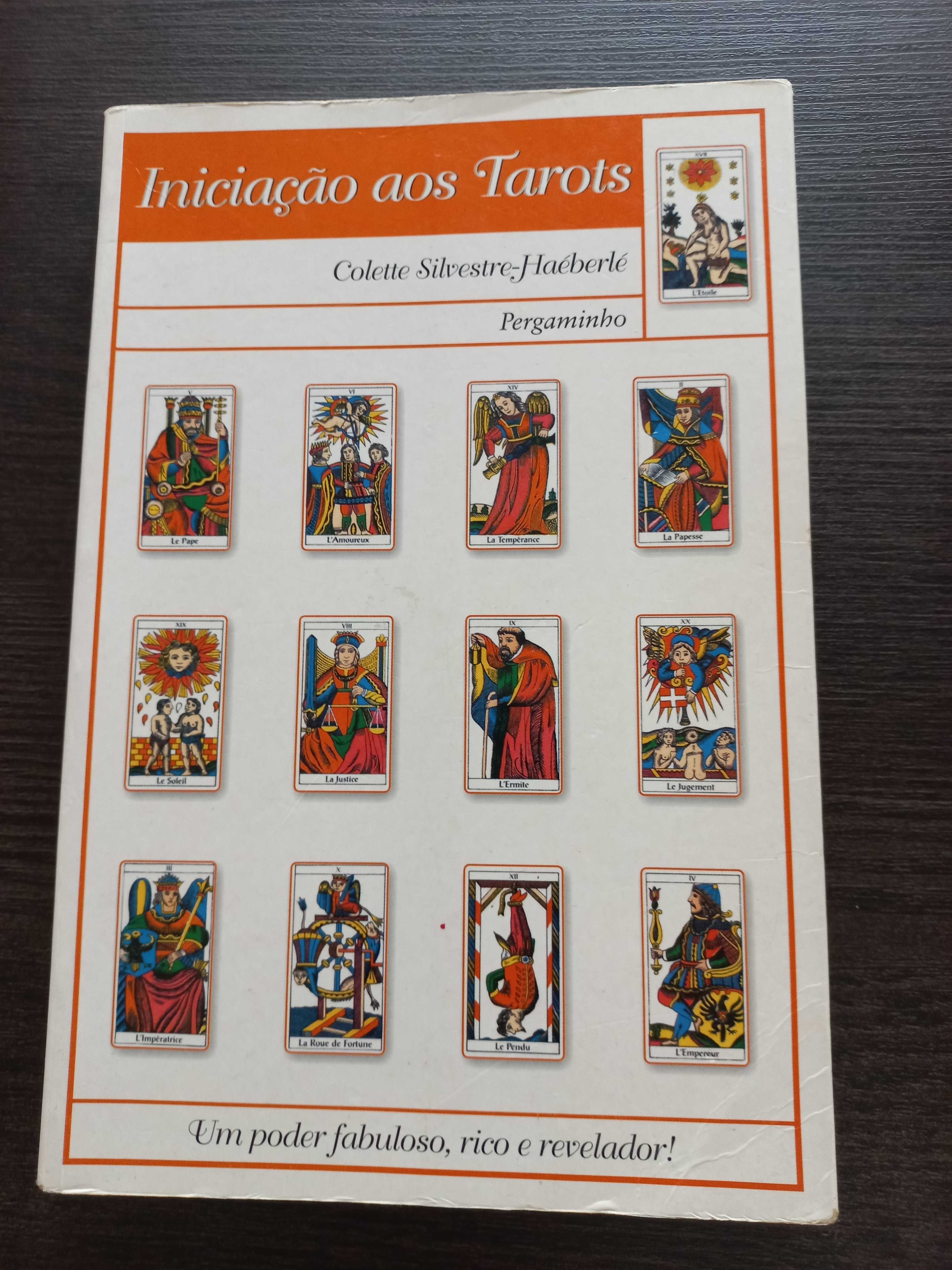 Livro Tarot arcanos maiores e menores